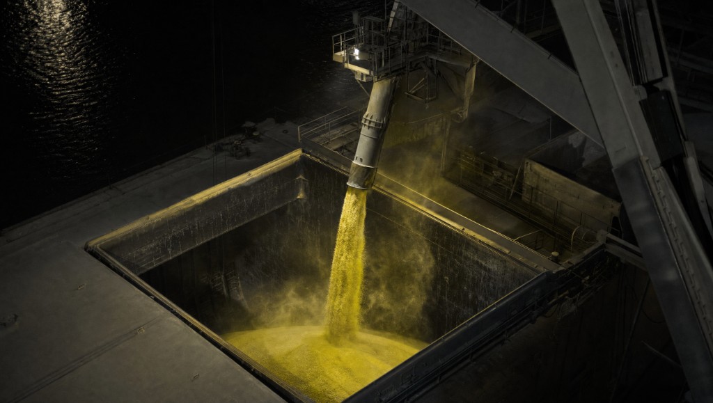 Maize pouring from a loading spout into the hold of a bulk carrier at night